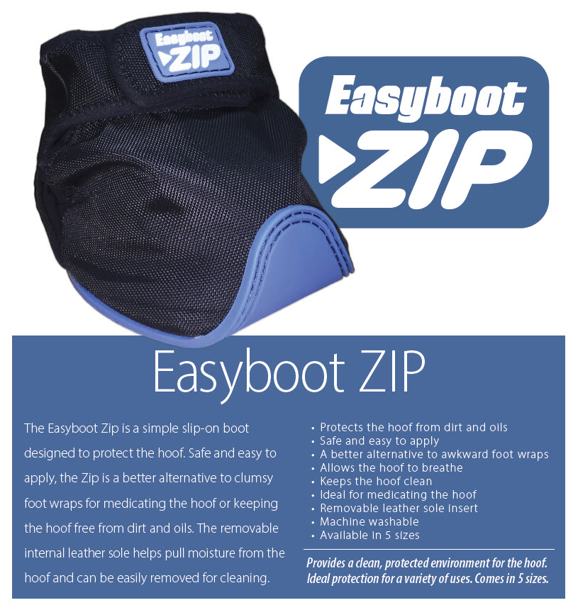 Zip Boot Banner ad