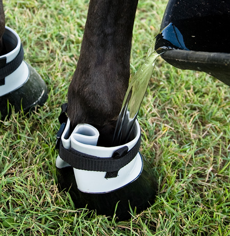 hoof boot from easycare down under